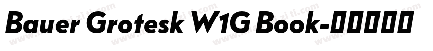 Bauer Grotesk W1G Book字体转换